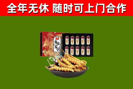 内乡烟酒回收冬虫夏草礼盒.jpg